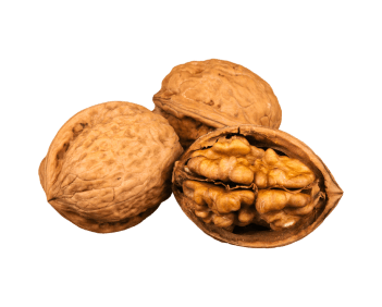 Nueces (1)