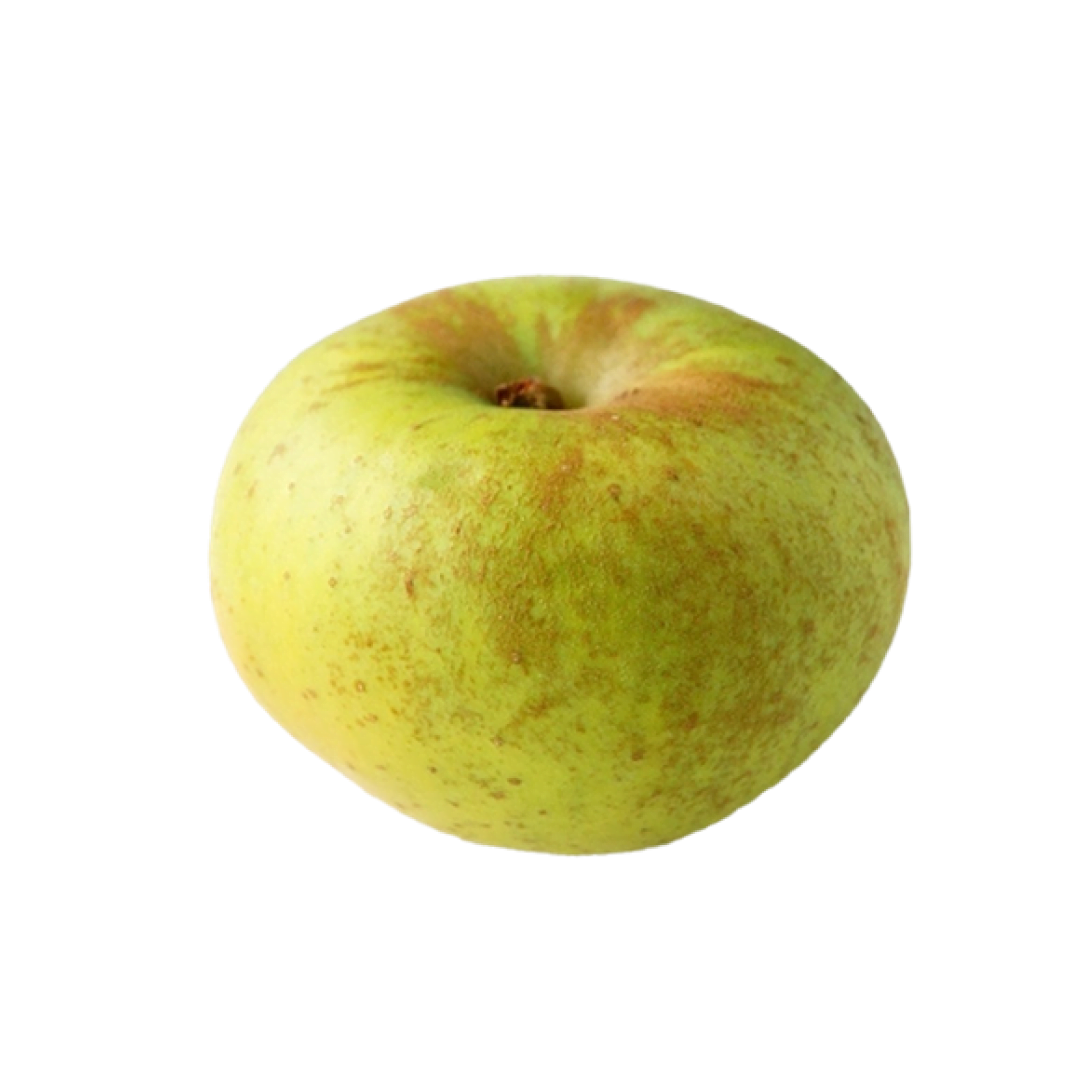 Manzanas-Reineta-Extra-0007363_450 1 (2)