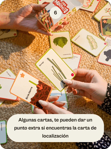Tarjeta 6