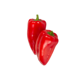 pimiento piquillo2