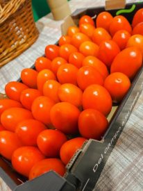 tomate pera imagen